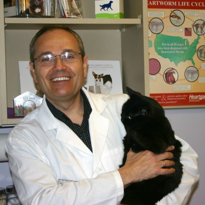 Dr Adam Kubica